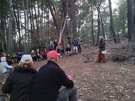 vignette Nuits des Forêts